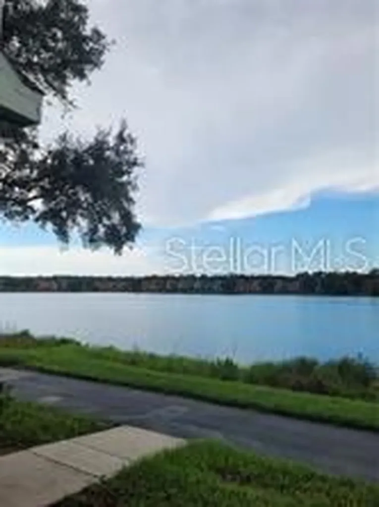 9732 Lake Chase Island Way Tampa FL 33626