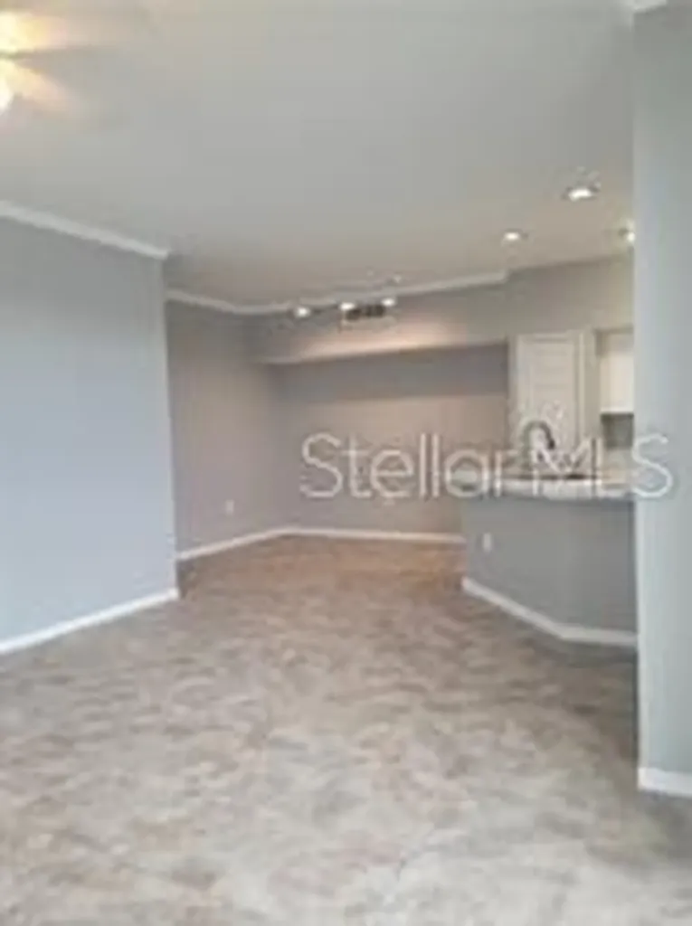 9732 Lake Chase Island Way Tampa FL 33626