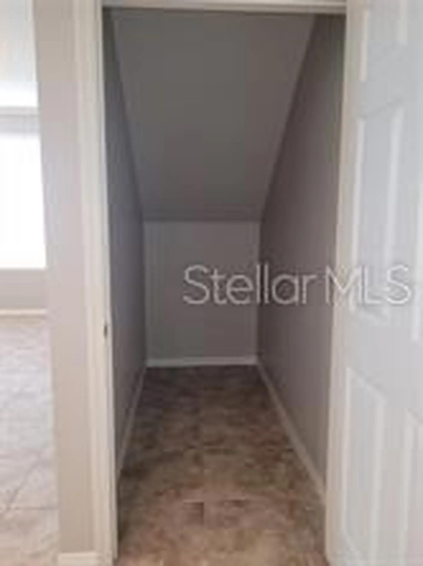 9732 Lake Chase Island Way Tampa FL 33626