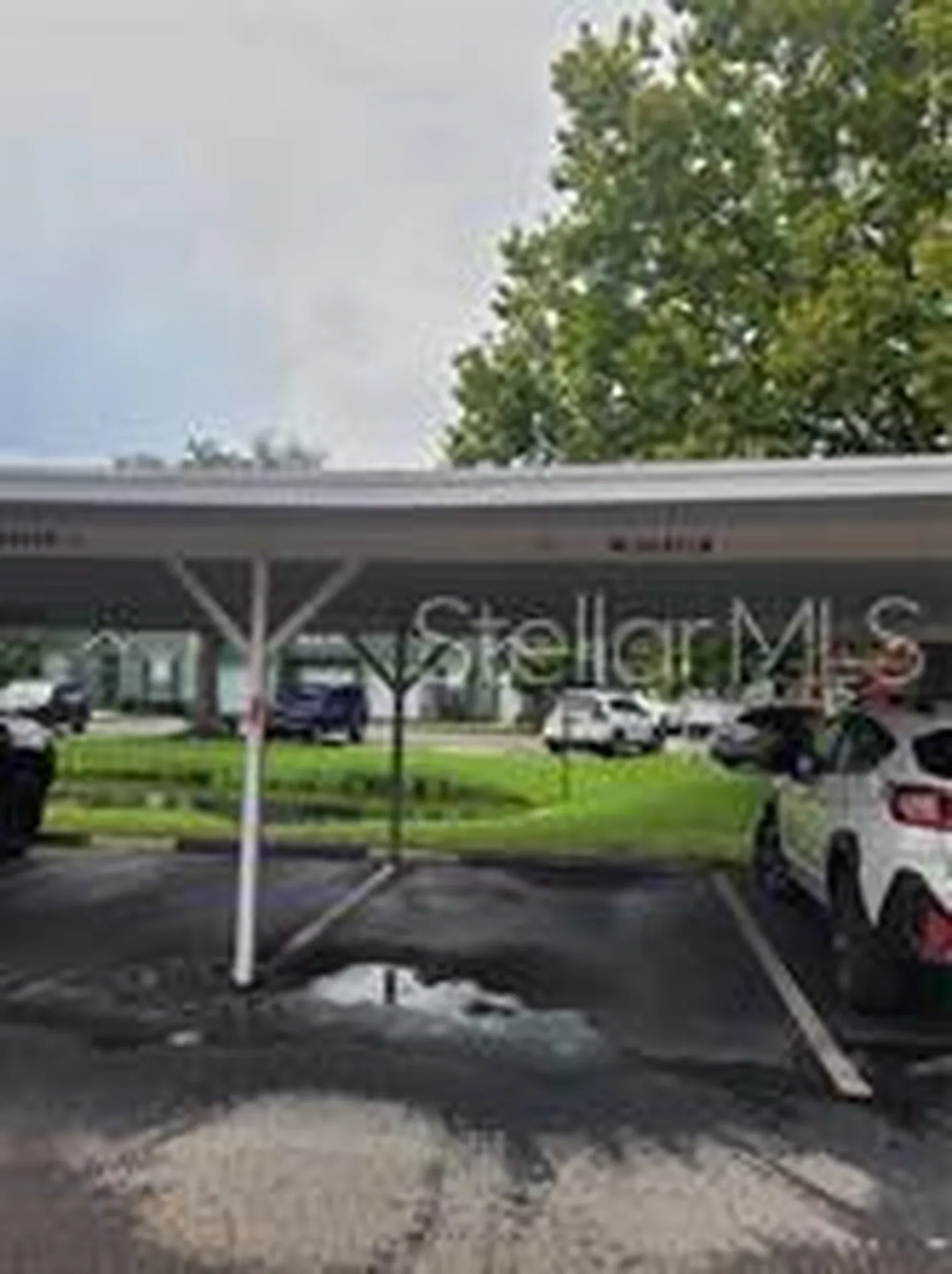 9732 Lake Chase Island Way Tampa FL 33626