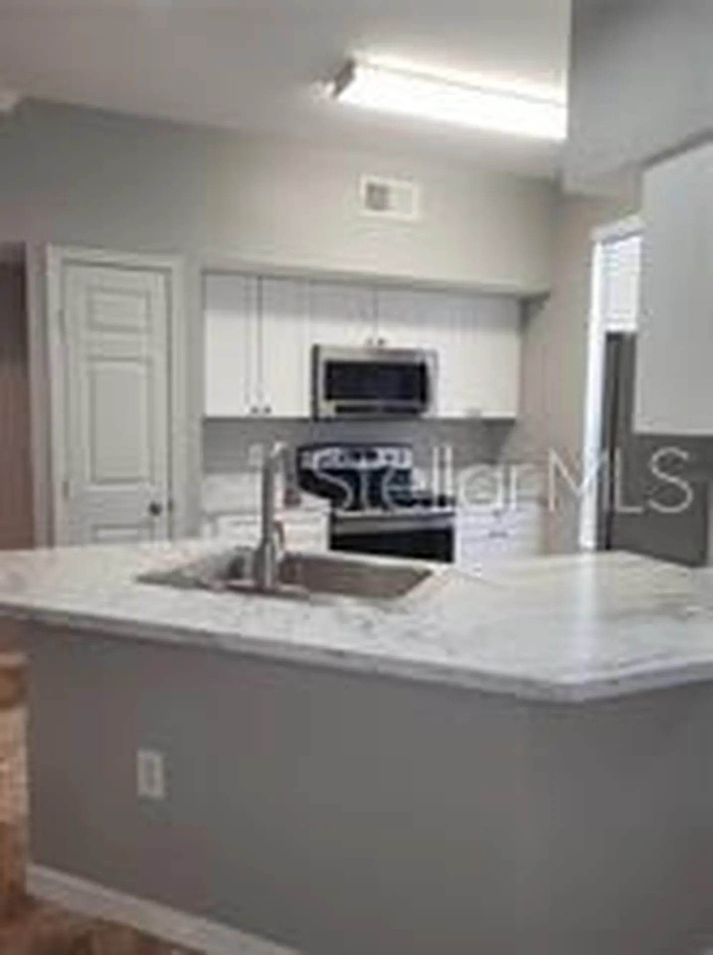9732 Lake Chase Island Way Tampa FL 33626