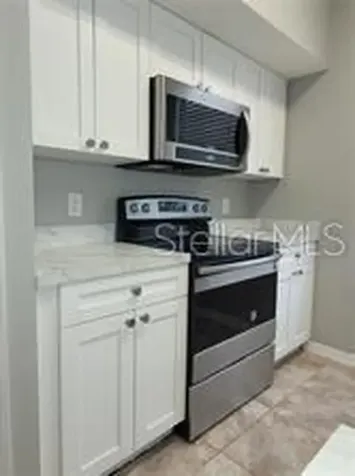9732 Lake Chase Island Way Tampa FL 33626