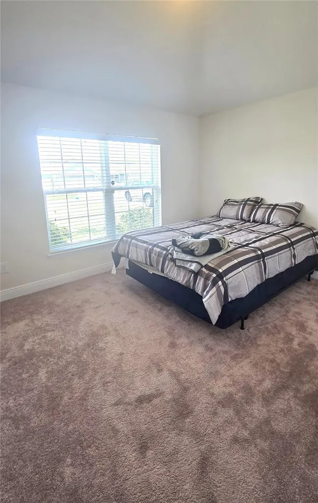 14450 Haddon Mist Drive Wimauma FL 33598