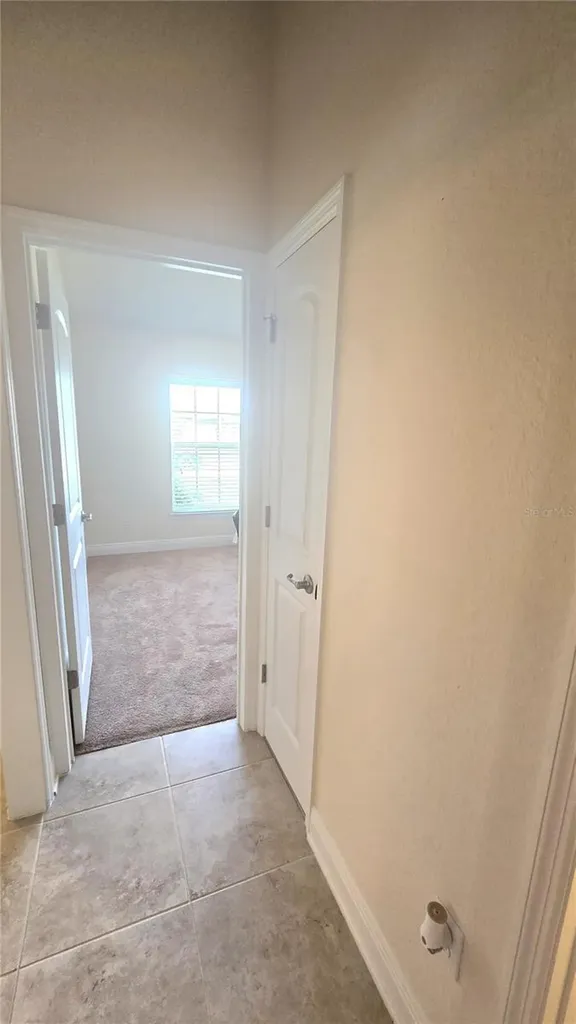 14450 Haddon Mist Drive Wimauma FL 33598