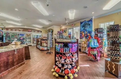 2302 Butterfly Palm Way Kissimmee FL 34747