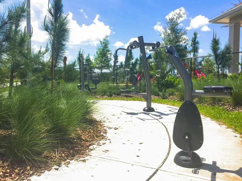 15406 Feather Star Place Ruskin FL 33573