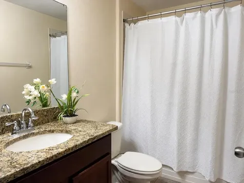 15406 Feather Star Place Ruskin FL 33573