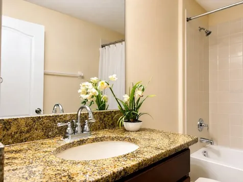 15406 Feather Star Place Ruskin FL 33573