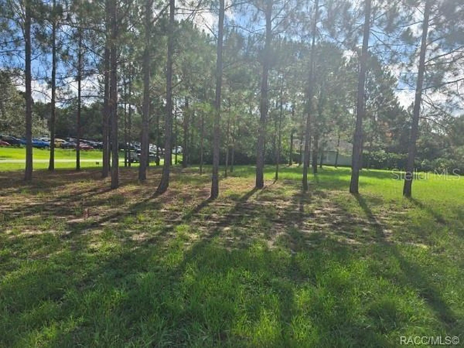 2590 N Brentwood Circle Lecanto FL 34461