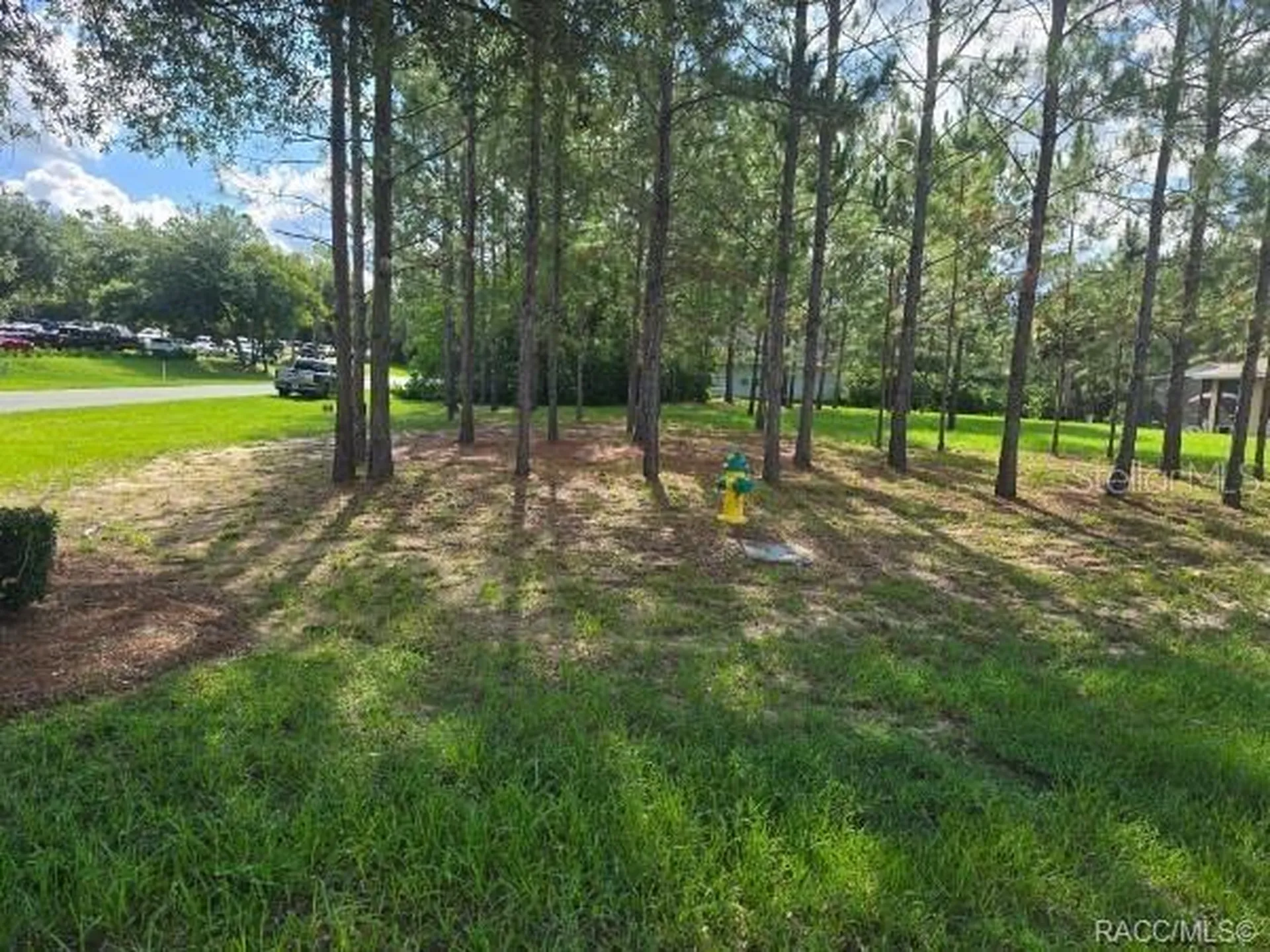 2590 N Brentwood Circle Lecanto FL 34461