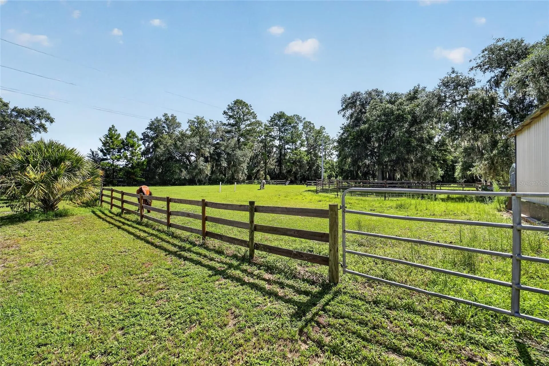 11105 W Highway 326 Ocala FL 34482