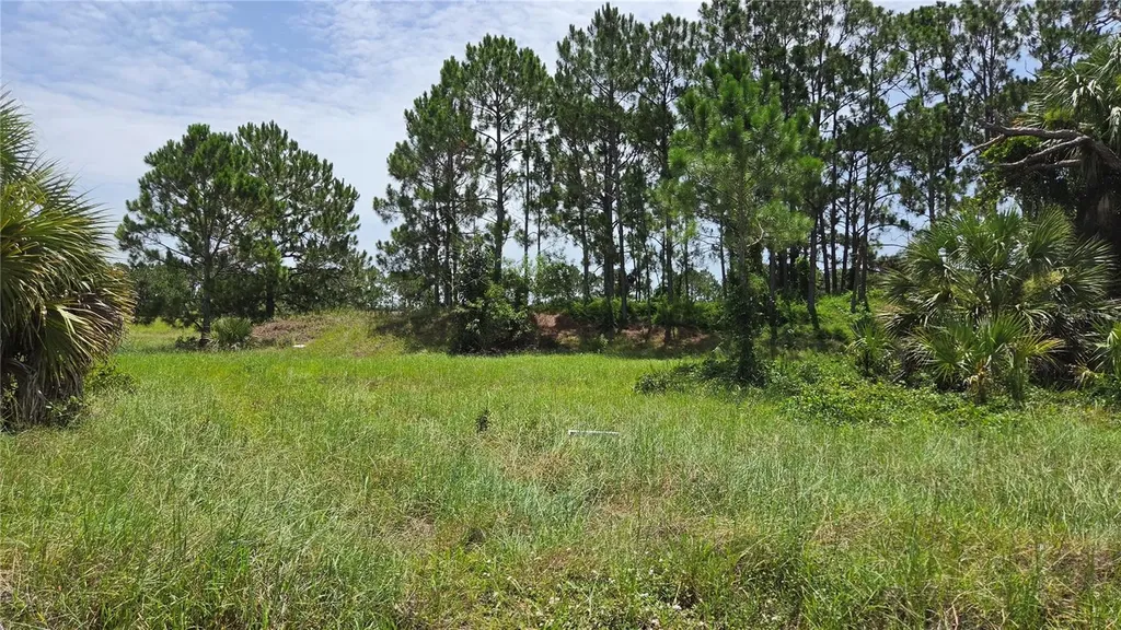 1162 SE 40th Avenue Okeechobee FL 34974