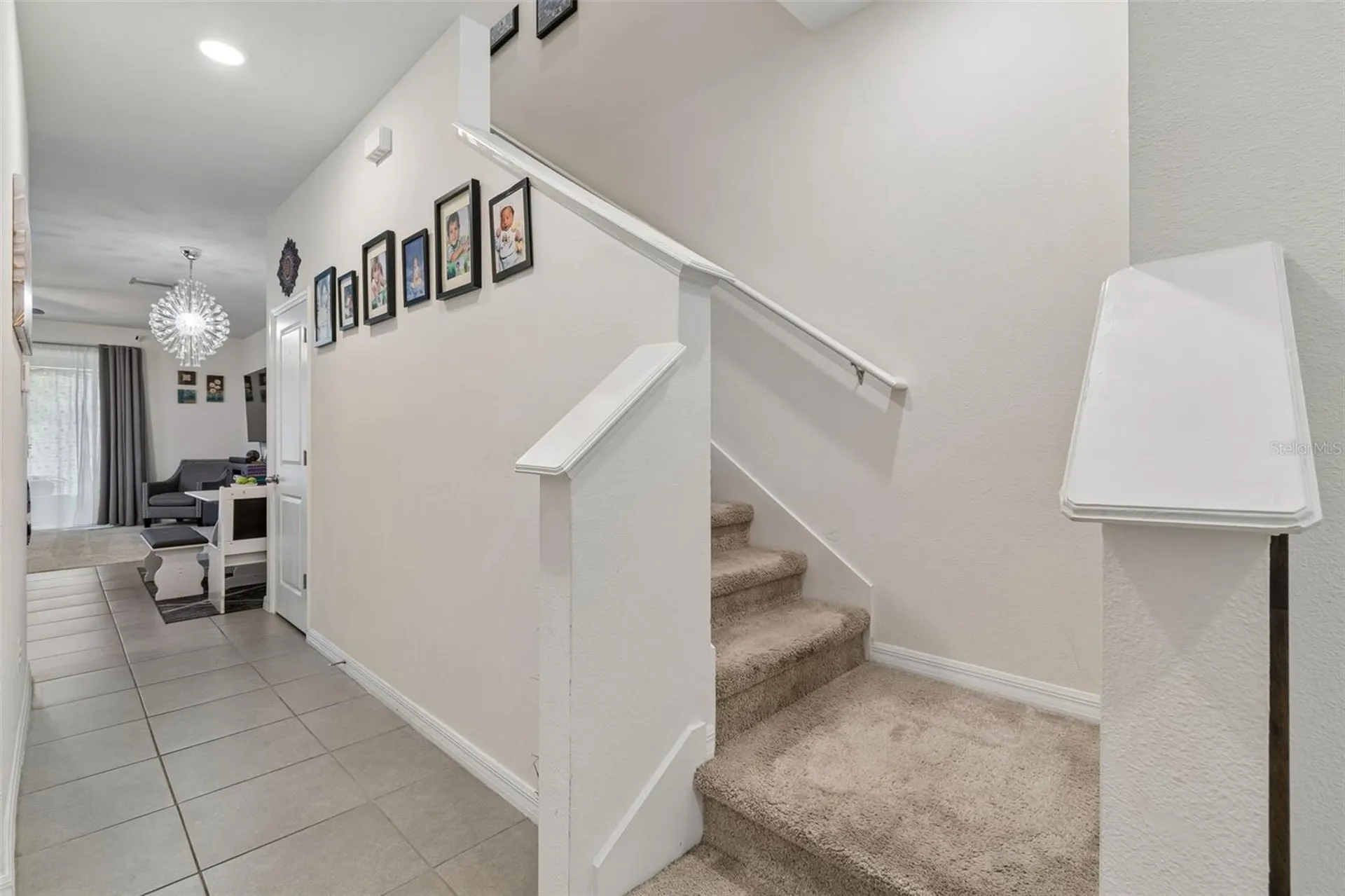 3830 Vignoble Lane Brandon FL 33511