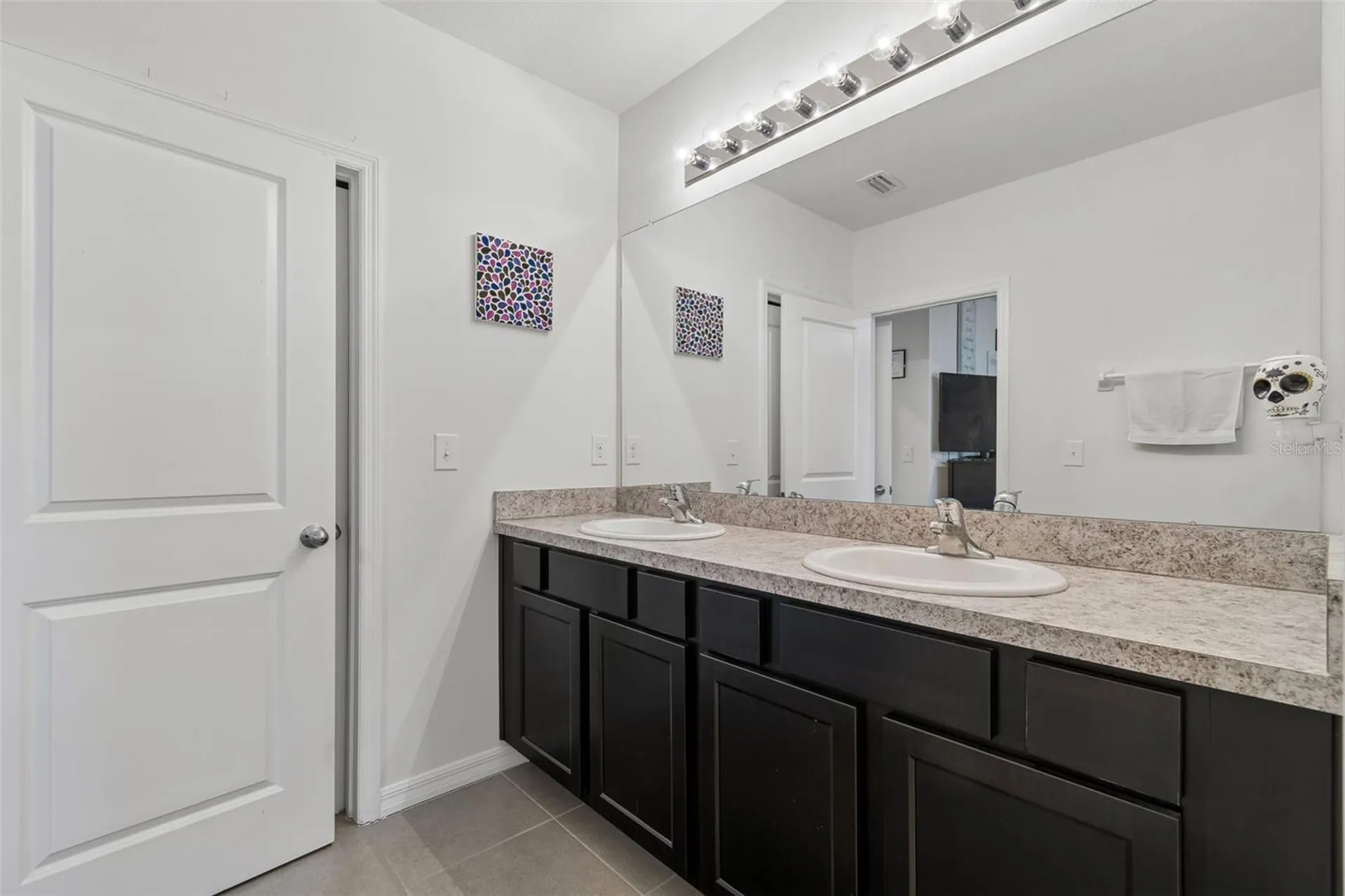 3830 Vignoble Lane Brandon FL 33511