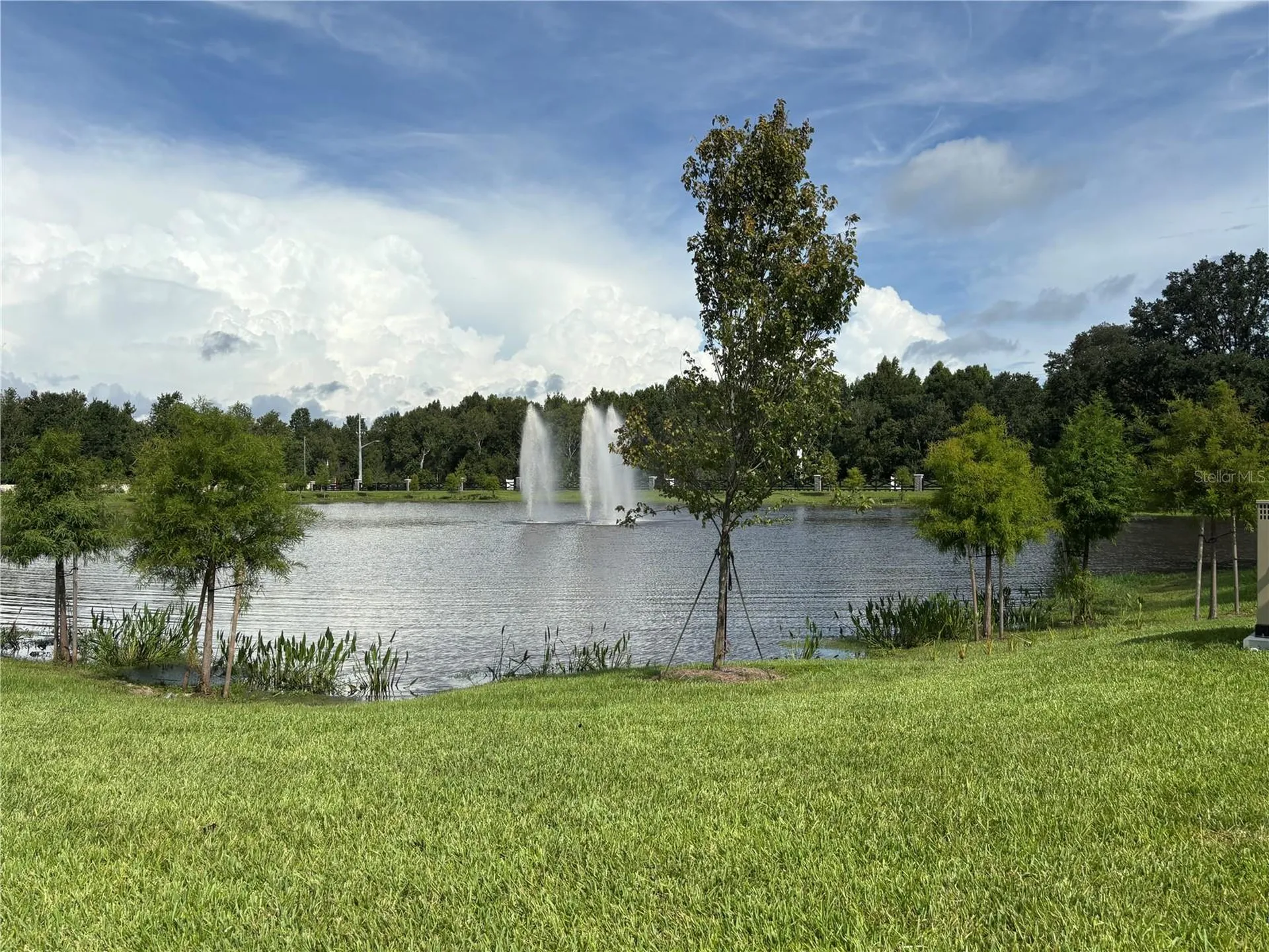 11451 Harborview Street Orlando FL 32832