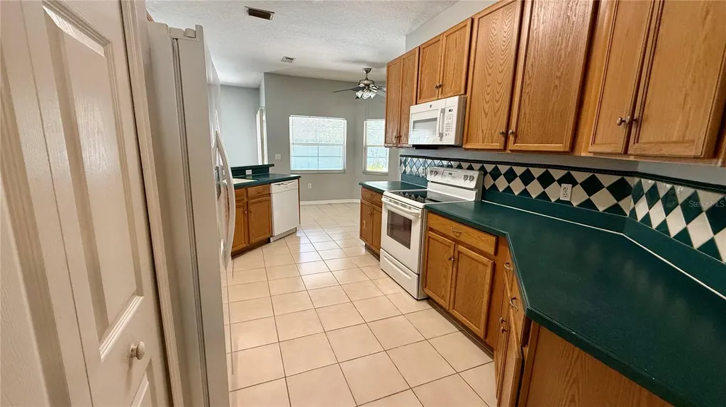 4314 Biel Court Kissimmee FL 34746