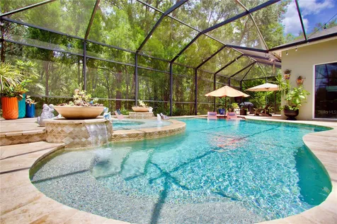 15321 Azra Drive Odessa FL 33556