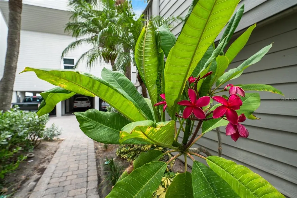19930 Gulf Boulevard Indian Shores FL 33785