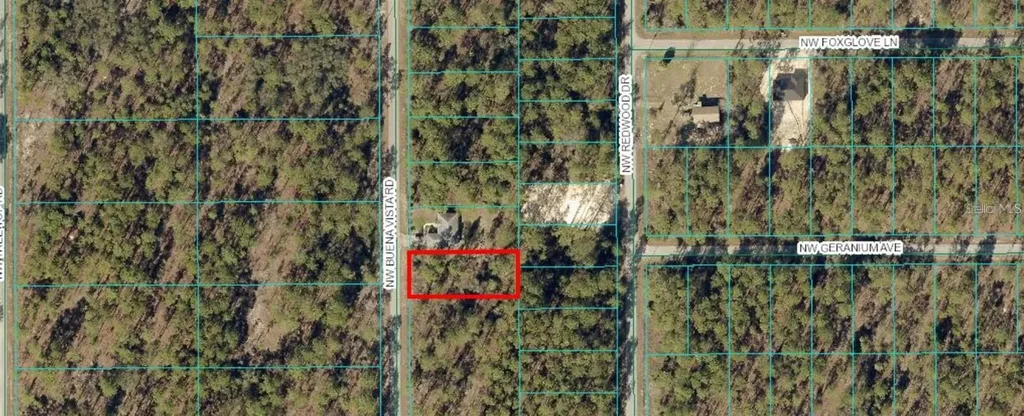 00 NW Buena Vista Road Dunnellon FL 34431
