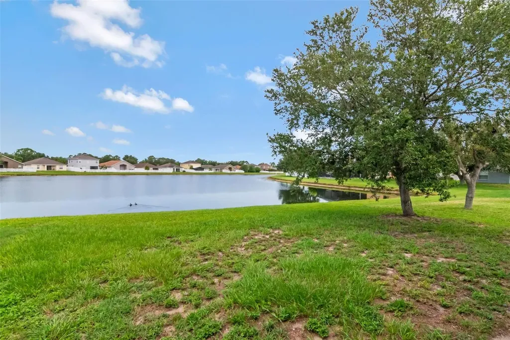 2313 Lawrence Hall Street Ruskin FL 33570