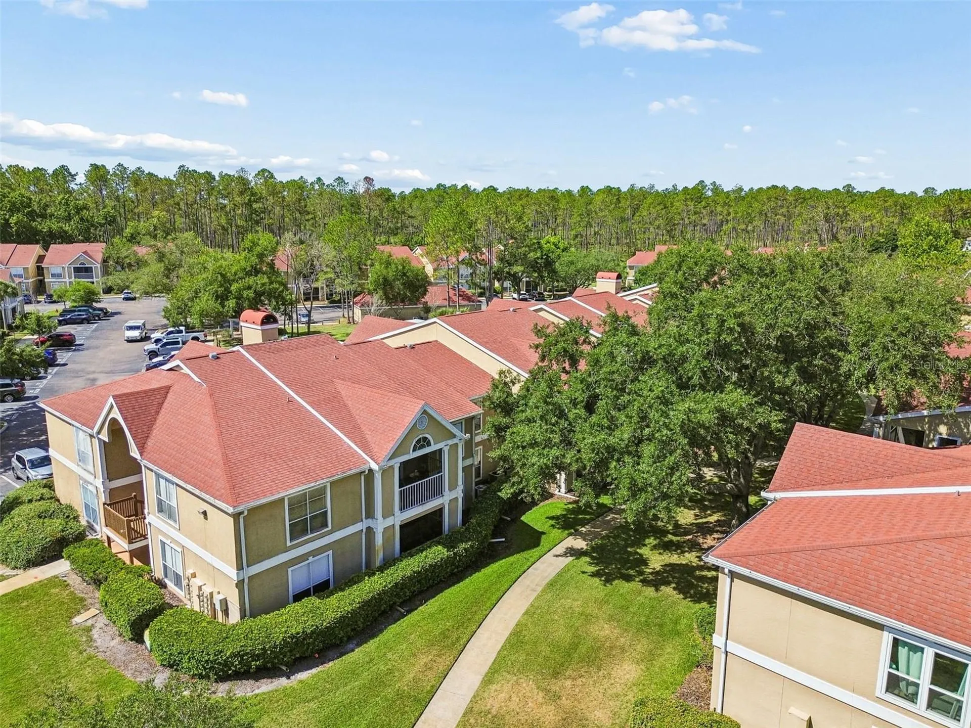 9481 Highland Oak Drive Tampa FL 33647