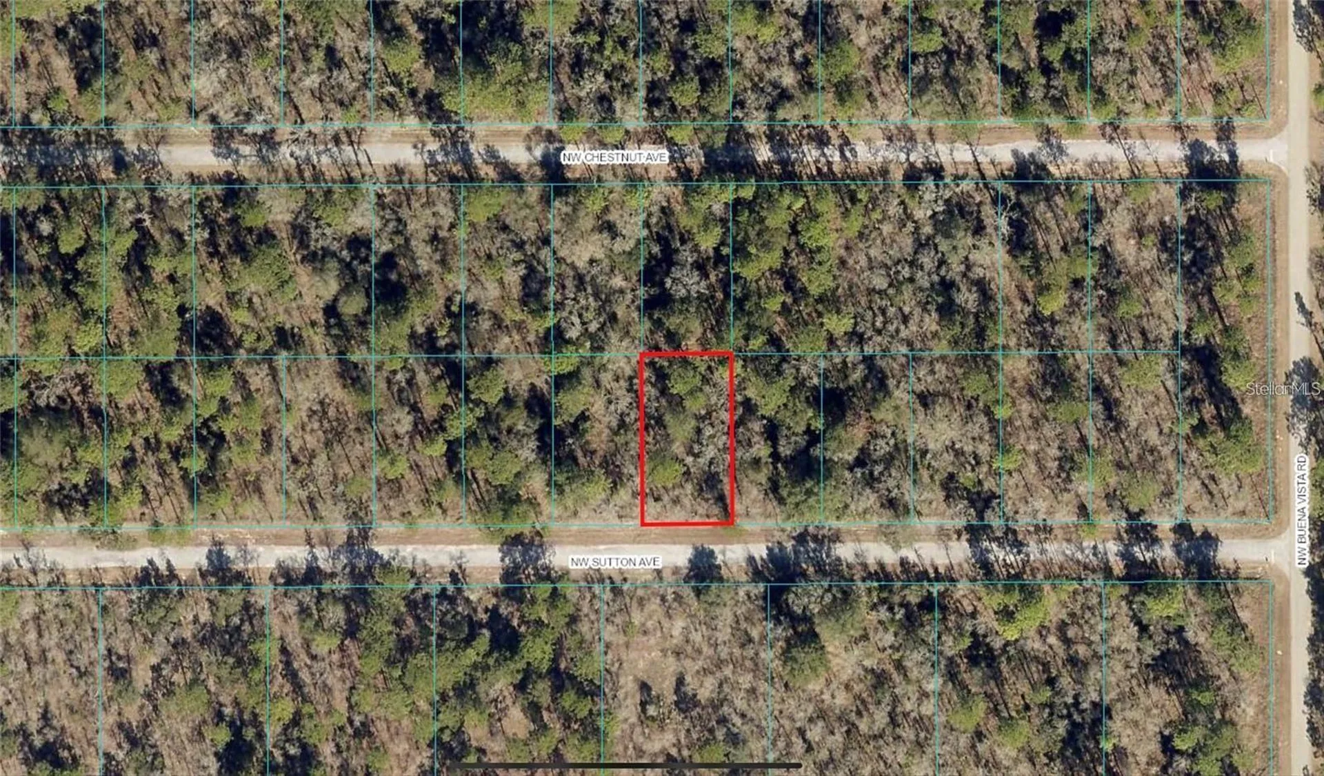 00 NW Sutton Avenue Dunnellon FL 34431