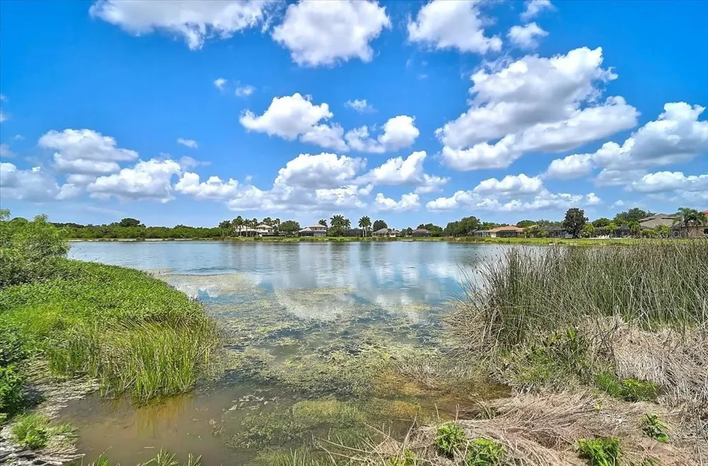 12319 Lavender Loop Bradenton FL 34212
