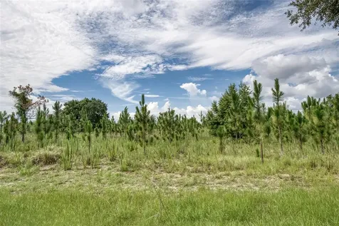2924 Majestic Isle Drive Clermont FL 34711