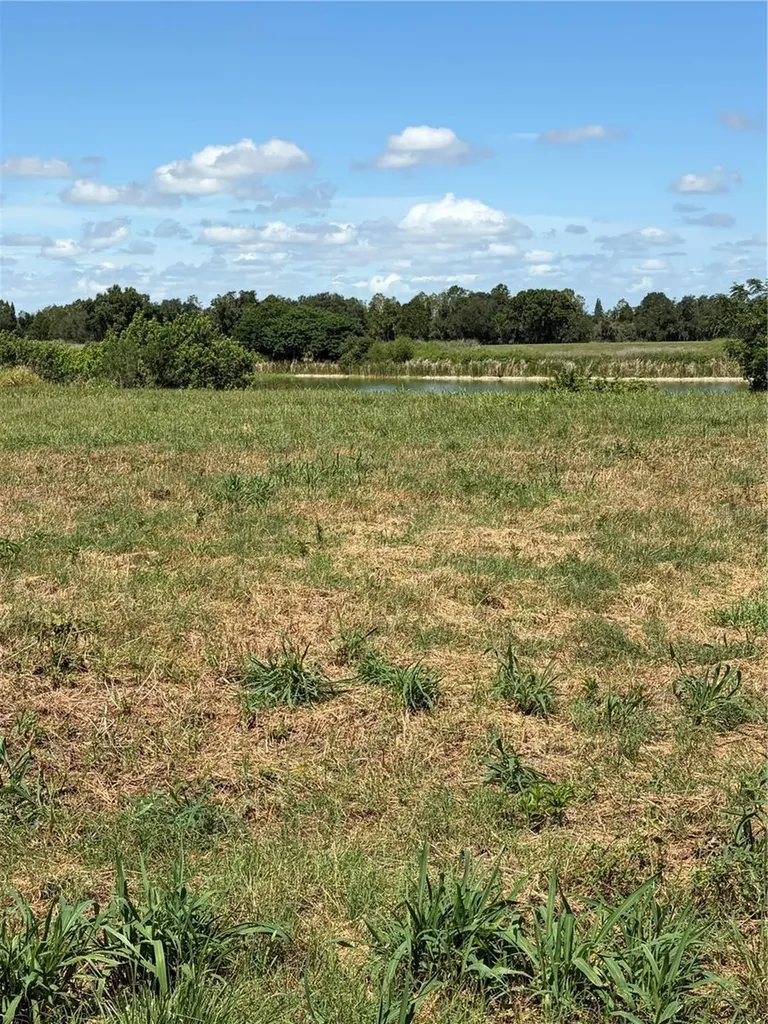 10349 County Road 555 Fort Meade FL 33841