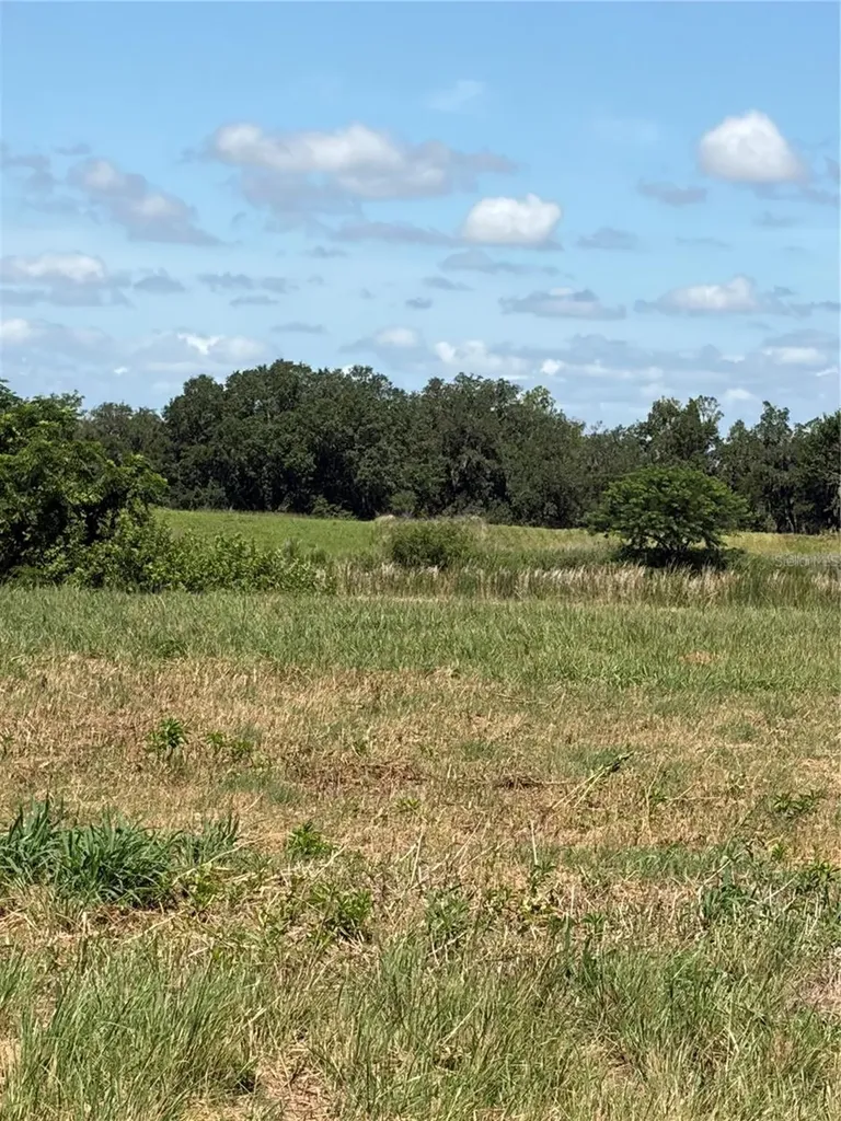 10349 County Road 555 Fort Meade FL 33841