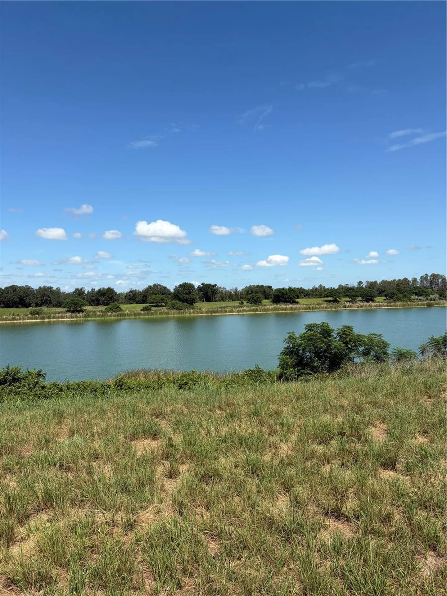 10349 County Road 555 Fort Meade FL 33841