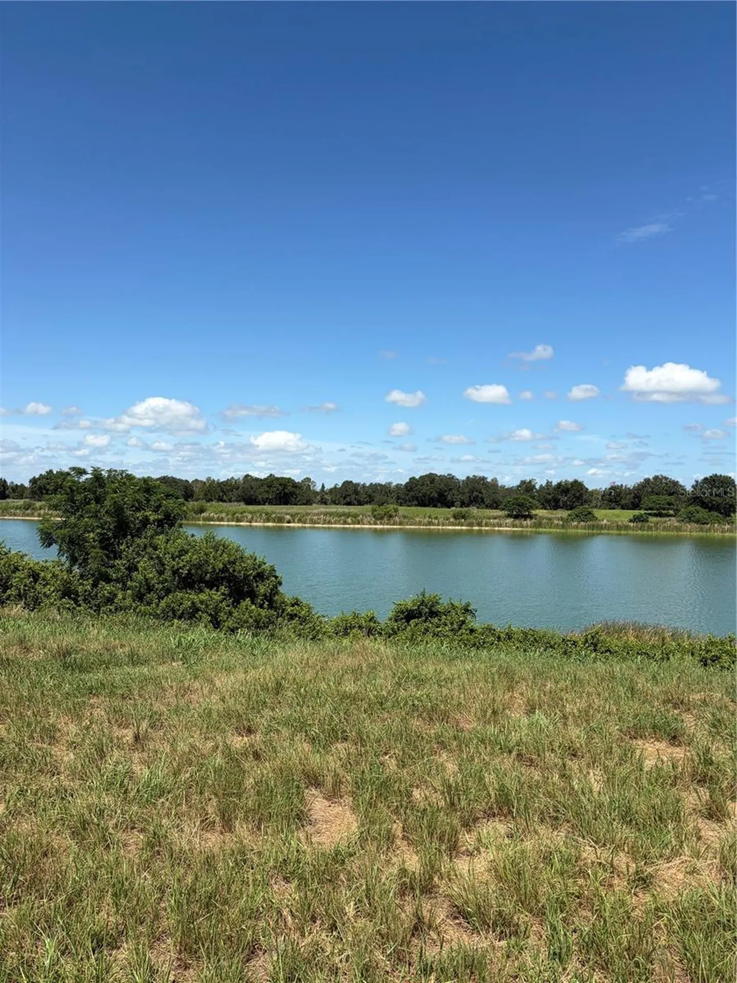 10349 County Road 555 Fort Meade FL 33841