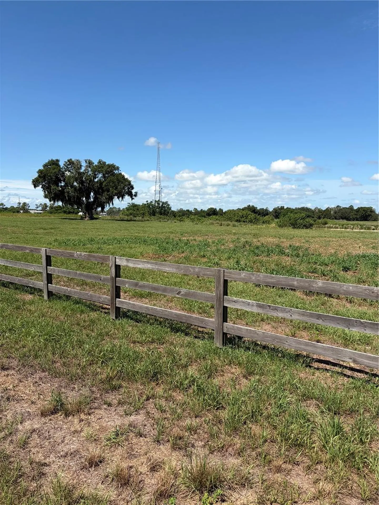 10349 County Road 555 Fort Meade FL 33841