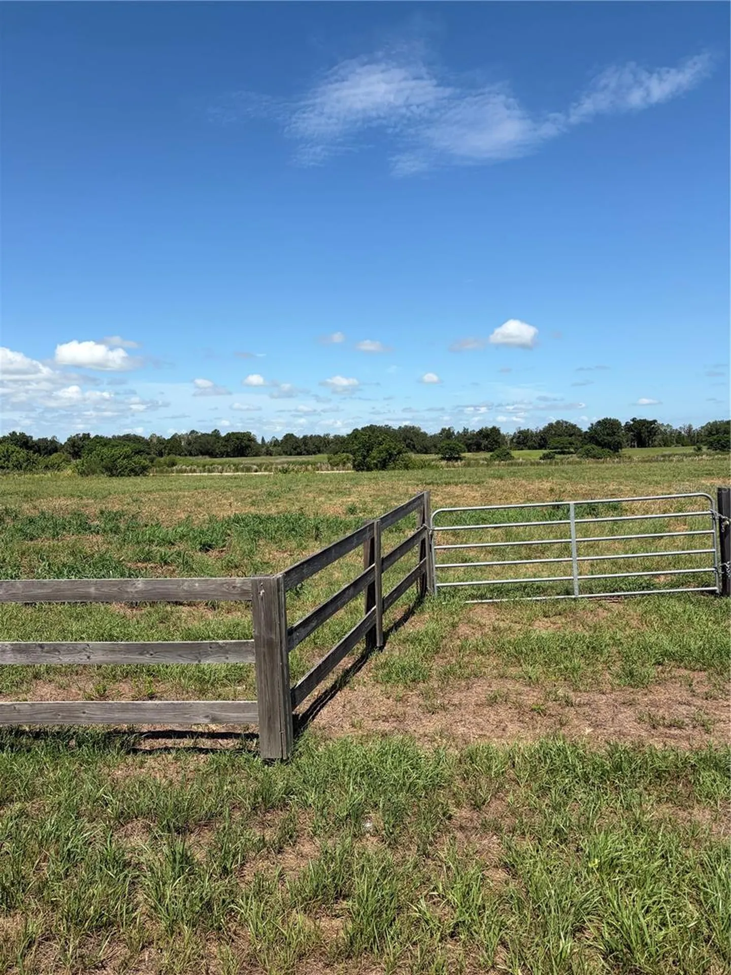 10349 County Road 555 Fort Meade FL 33841