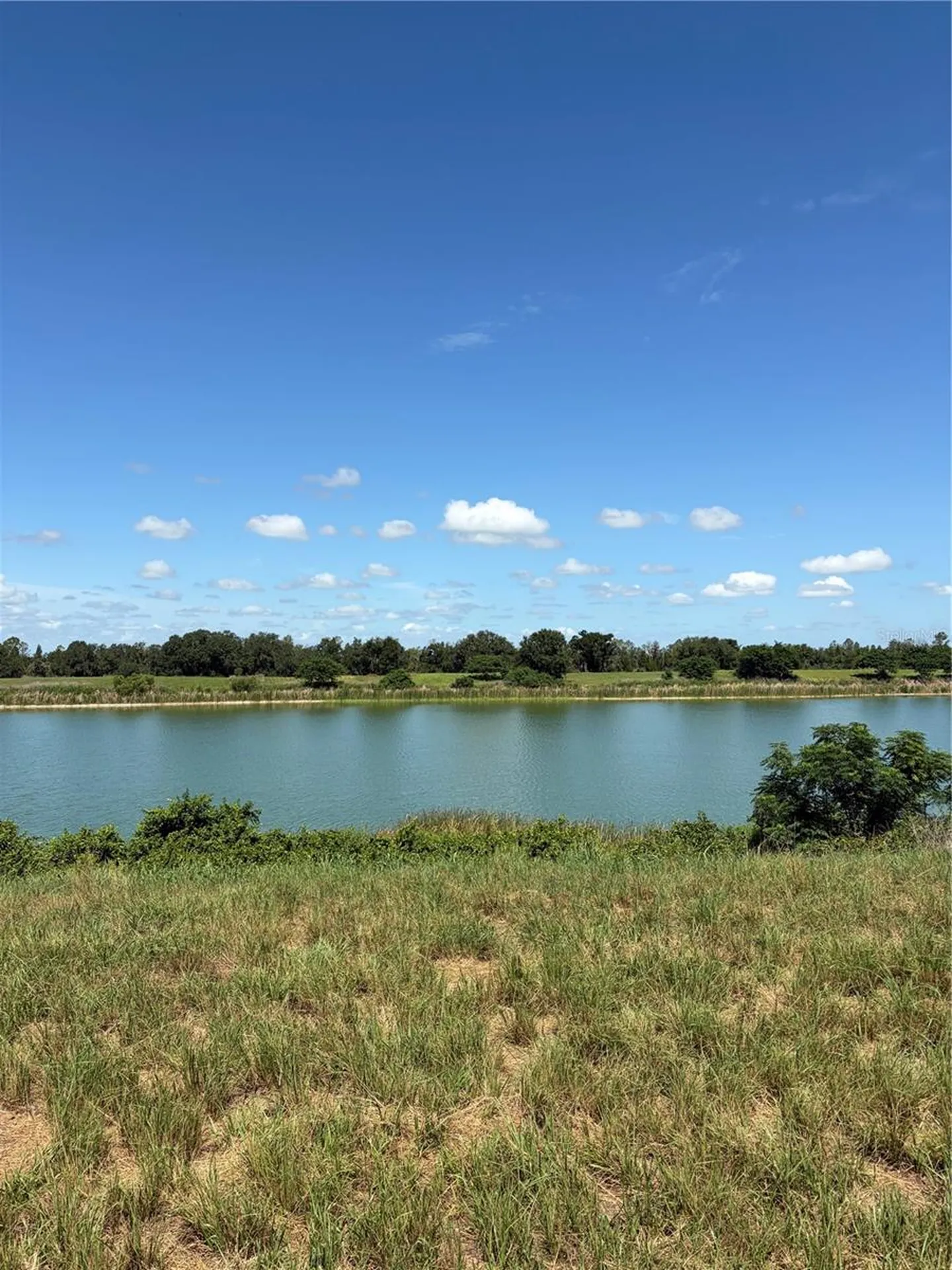 10349 County Road 555 Fort Meade FL 33841