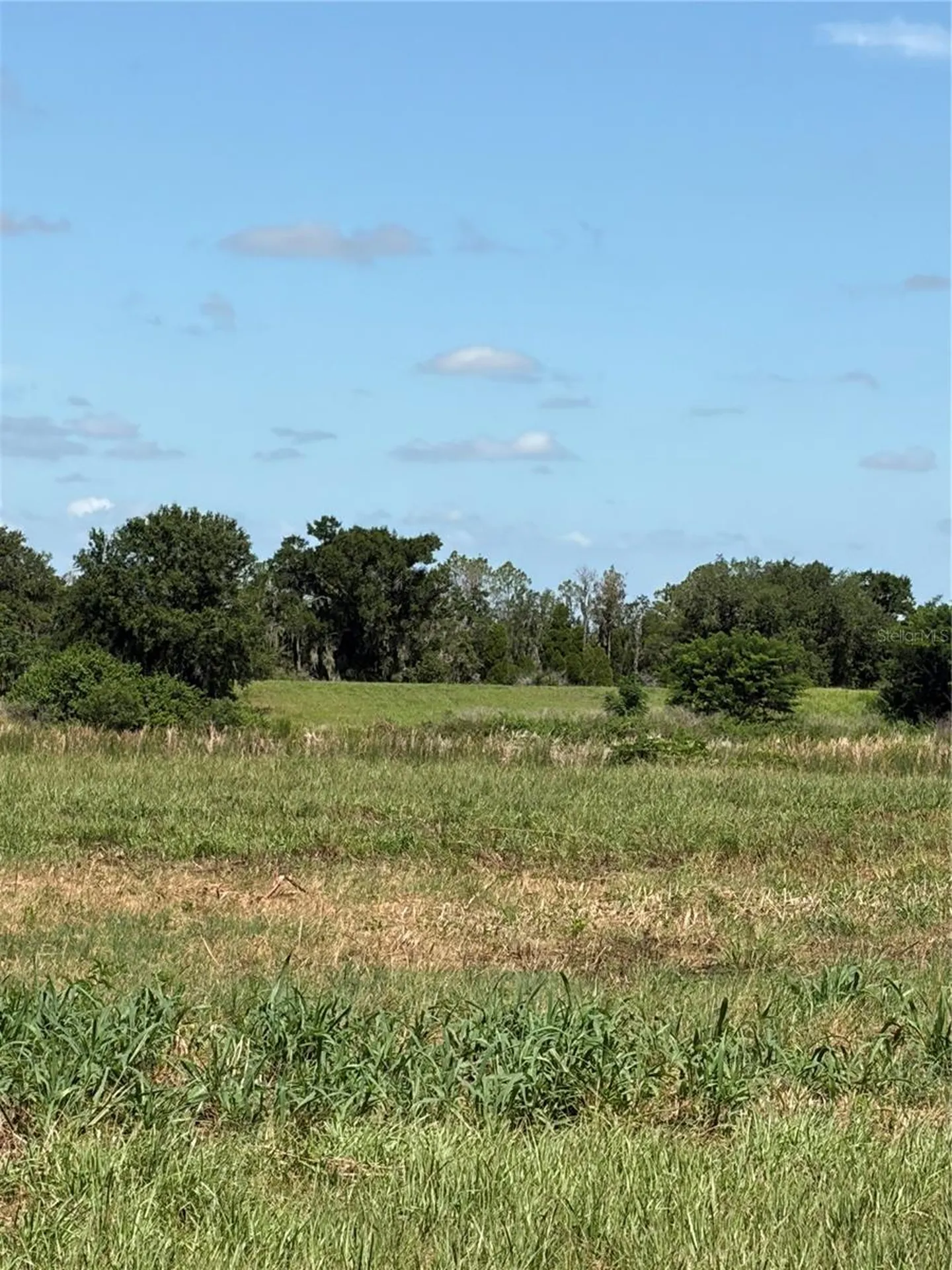 10349 County Road 555 Fort Meade FL 33841