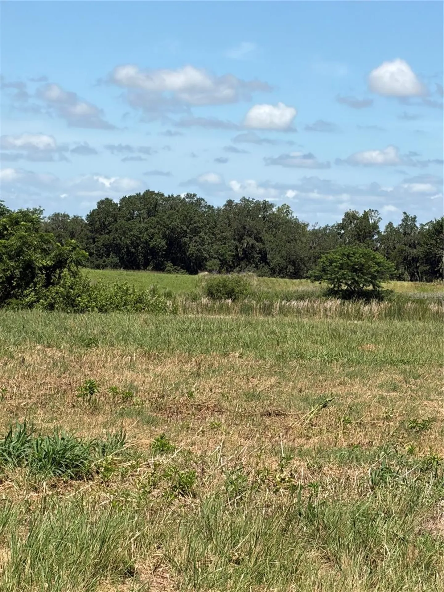 10349 County Road 555 Fort Meade FL 33841
