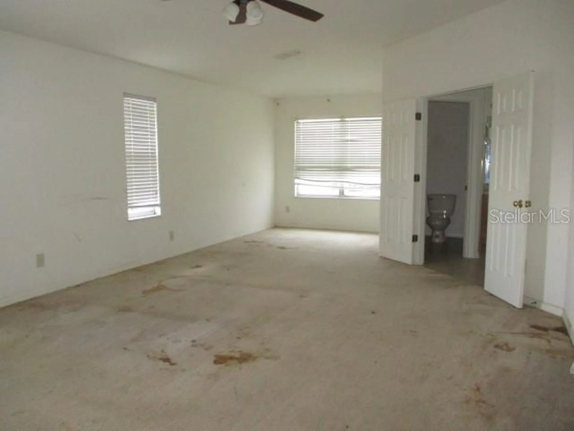 20123 Still Wind Drive Tampa FL 33647