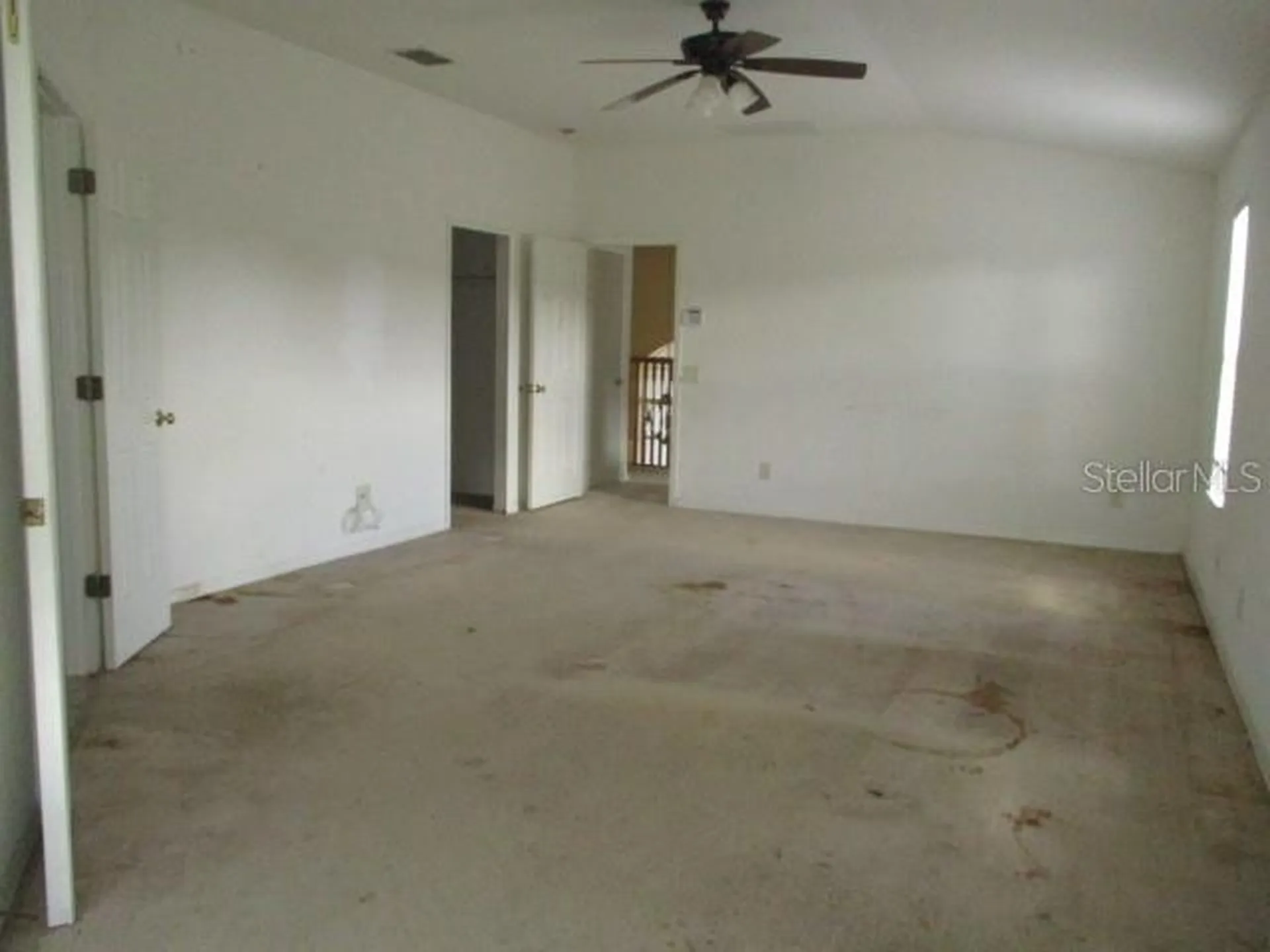 20123 Still Wind Drive Tampa FL 33647