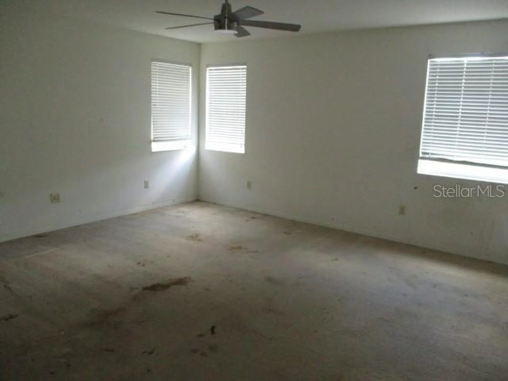 20123 Still Wind Drive Tampa FL 33647