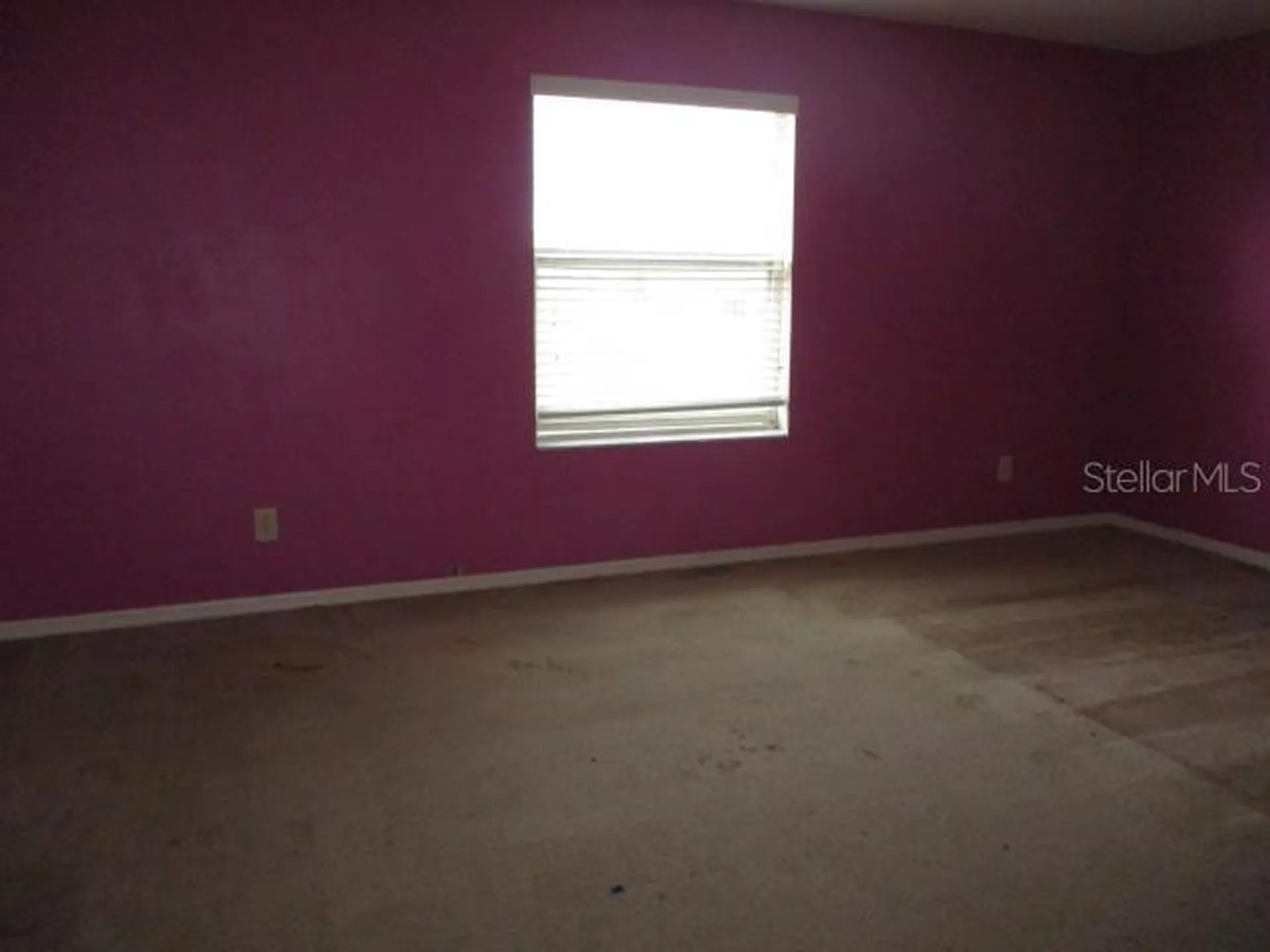 20123 Still Wind Drive Tampa FL 33647