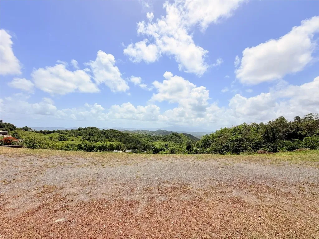 Bo. Quemado San Lorenzo PR 00754