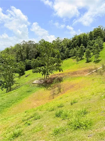 Bo. Quemado San Lorenzo PR 00754