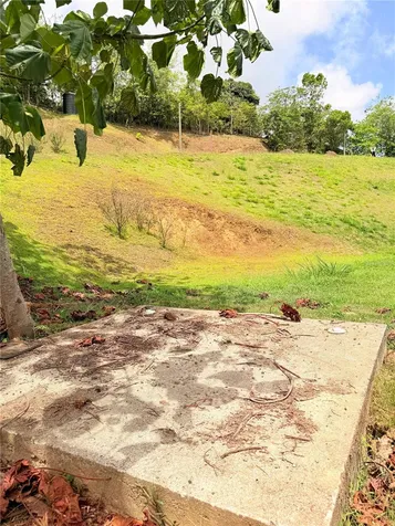 Bo. Quemado San Lorenzo PR 00754