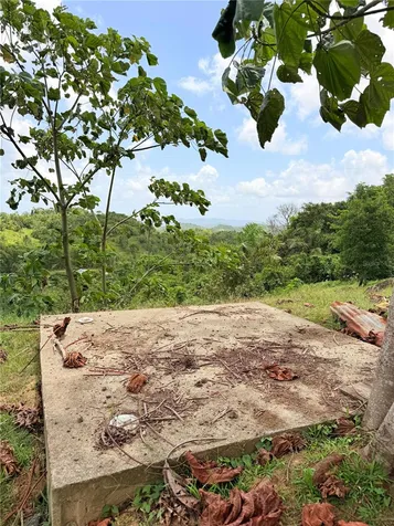 Bo. Quemado San Lorenzo PR 00754