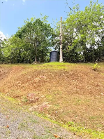 Bo. Quemado San Lorenzo PR 00754