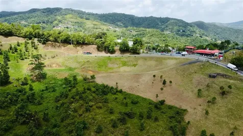 Bo. Quemado San Lorenzo PR 00754