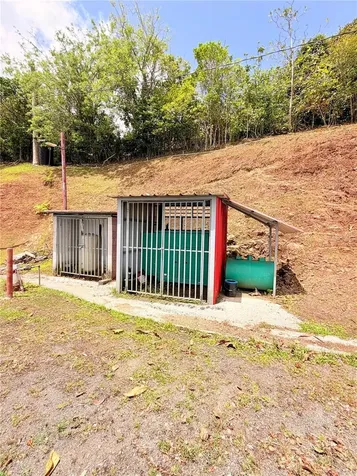 Bo. Quemado San Lorenzo PR 00754