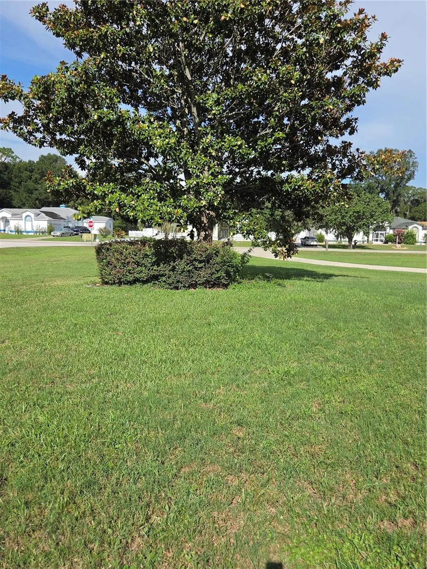 Ocala FL 34476