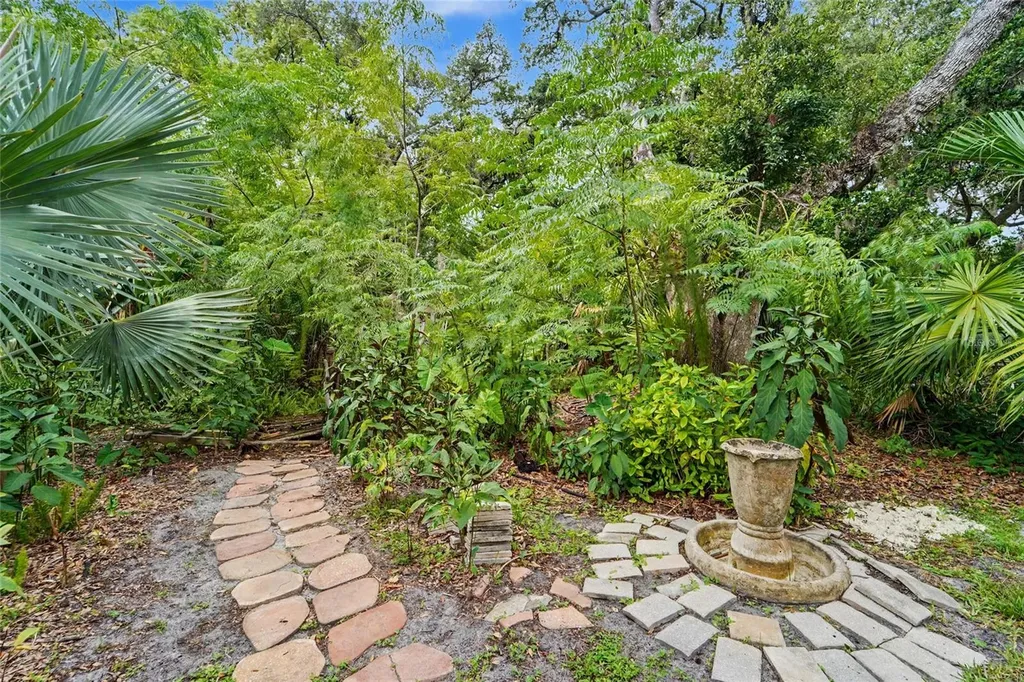 3408 Arcadia Drive Palm Harbor FL 34684